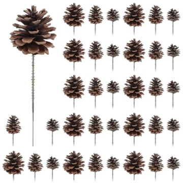 Larber Pine Cones Set for Christmas Crafting & Decor