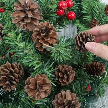 Larber Pine Cones Set for Christmas Crafting & Decor