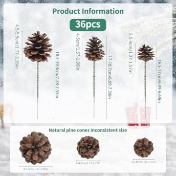 Larber Pine Cones Set for Christmas Crafting & Decor