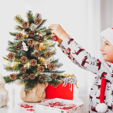 Larber Pine Cones Set for Christmas Crafting & Decor