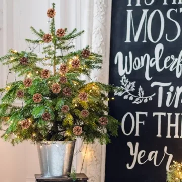 Larber Pine Cones Set for Christmas Crafting & Decor