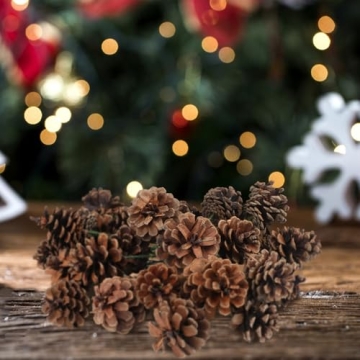Larber Pine Cones Set for Christmas Crafting & Decor