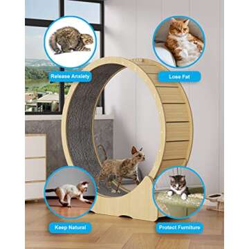 Cat Wheel Exerciser for Indoor Cats with Lock Pin. Large Diameter Cat Exercise Wheel Made of Natural Solid Wood. Inside Diameter 40in/100cm. Including Installation Tools and Cat Toy. (Natural)