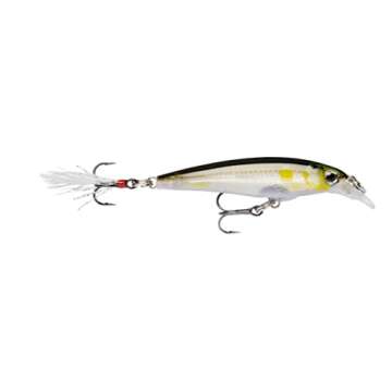 Rapala X-Rap Jerkbait 10 Fishing lure (Silver , Size- 4)