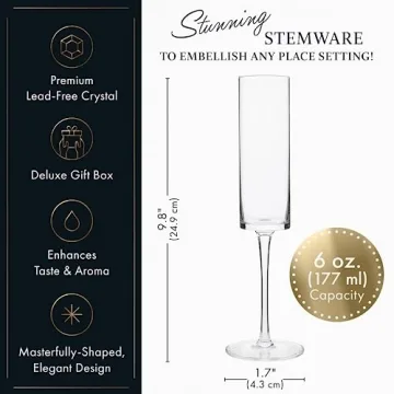 Elegant Champagne Flutes Set – Modern Design, Perfect Gift