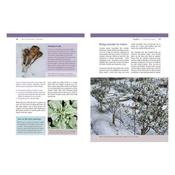 How to Grow Winter Vegetables: The Ultimate Guide for Thriving Crops