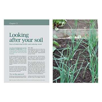 Grow Winter Vegetables: Essential Guide for All Skill Levels