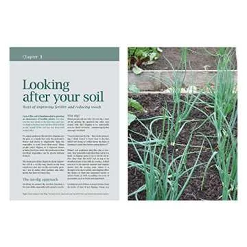 Grow Winter Vegetables: Essential Guide for All Skill Levels
