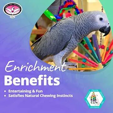 Super Bird Creations SB702 Peacock Sr. Bird Toy - Kiln Dried Pine Wood Slats, Hardwood Beads, 100% Cotton Rope - Ideal for Parrots, African Greys - Boredom Relief - Large Bird Size - 14” x 11” x 1.5”