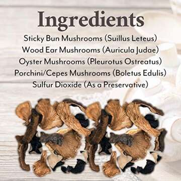 Roland Foods Dried Mixed Wild Mushrooms Specialty Imported Food ,16 Ounce (Pack of 1)