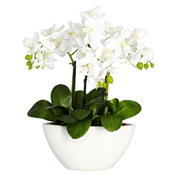 Nearly Natural Lifelike Phalaenopsis Flower Arrangement
