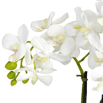 Nearly Natural Lifelike Phalaenopsis Flower Arrangement