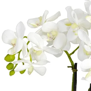 Nearly Natural Lifelike Phalaenopsis Flower Arrangement