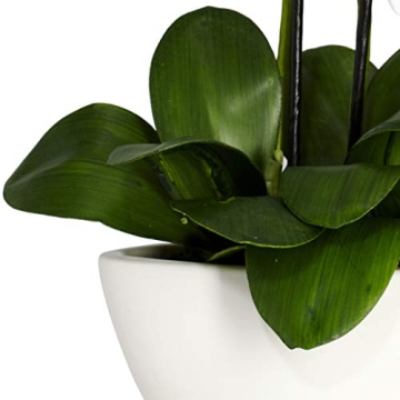 Nearly Natural Lifelike Phalaenopsis Flower Arrangement