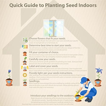 Cymbalaria Muralis Kenilworth Ivy Ground Cover Seeds 4000 Count