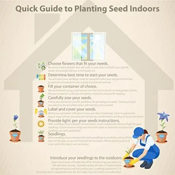 Cymbalaria Muralis Kenilworth Ivy Ground Cover Seeds 4000 Count