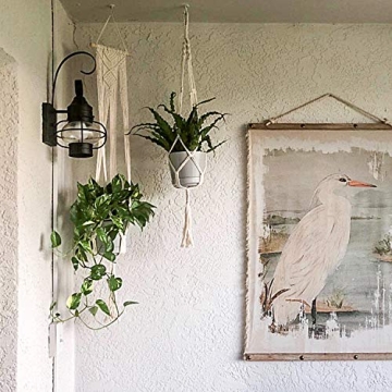 Stylish Dahey Macrame Plant Hangers for Your Home