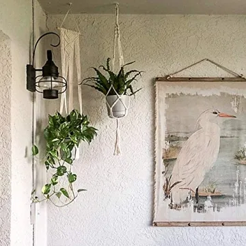 Stylish Dahey Macrame Plant Hangers for Your Home