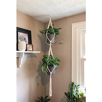 Stylish Dahey Macrame Plant Hangers for Your Home