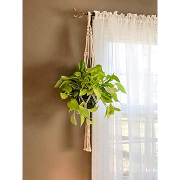 Stylish Dahey Macrame Plant Hangers for Your Home