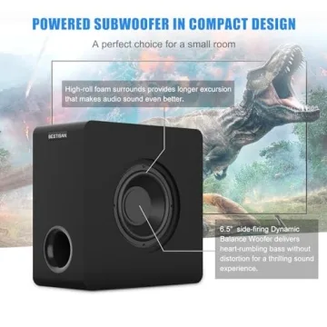 BESTISAN Powered 6.5’’ Subwoofer for Exceptional Home Audio