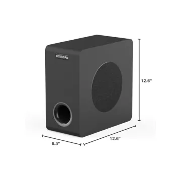 BESTISAN Powered 6.5’’ Subwoofer for Exceptional Home Audio