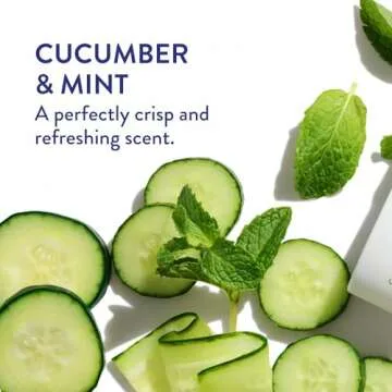 Native Plastic Free Deodorant Contains Naturally Derived Ingredients, 72 Hour Odor Control | Deodorant for Women and Men, Aluminum Free with Baking Soda, Coconut Oil and Shea Butter | Cucumber & Mint