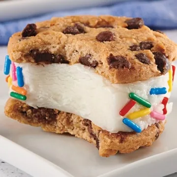 Nabisco Cookie Variety Pack – OREO & CHIPS AHOY!