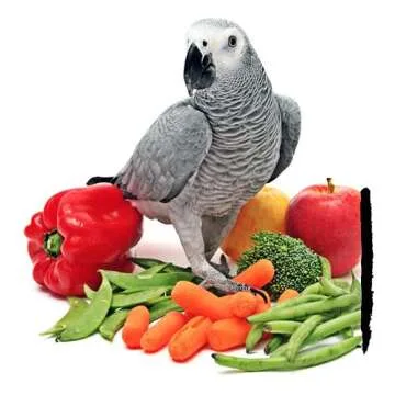 Bird Street Bistro Parrot Food - Parakeet Food - Cockatiel Food - Bird Food - Cooks in 3-15 min w/Natural & Organic Grains - Legumes - Non-GMO Fruits, Vegetables, & Healthy Spices
