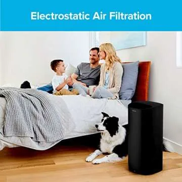 Filtrete F2 Room Air Purifier Filter, True HEPA Premium Allergen, Bacteria, and Virus, 13 in. x 8.2 in., Pack of 2, works with devices: FAP-C02WA-G2, FAP-C03BA-G2, FAP-T03BA-G2 and FAP-SC02N
