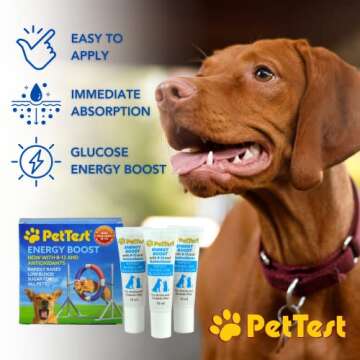 PetTest Energy Boost Glucose SOS 3x10ml Tubes for Pets, Instantly Increases Low Blood Sugar with B12...