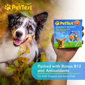 PetTest Energy Boost for Diabetic Dogs & Cats - 3x10ml Tubes