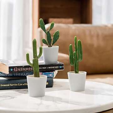 Hejdeco Set of 3 Artificial Cactus Plants for Modern Decor