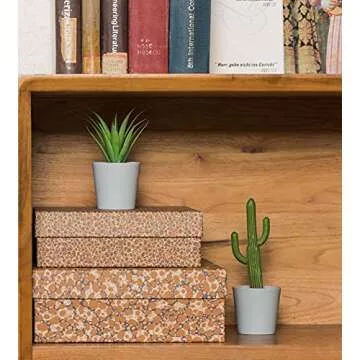 Hejdeco Set of 3 Artificial Cactus Plants for Modern Decor