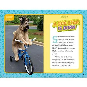 National Geographic Kids Chapters: Dog on a Bike: And More True Stories of Amazing Animal Talents! (...