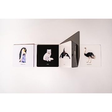 Baby's Black and White Contrast Book for Tummy Time