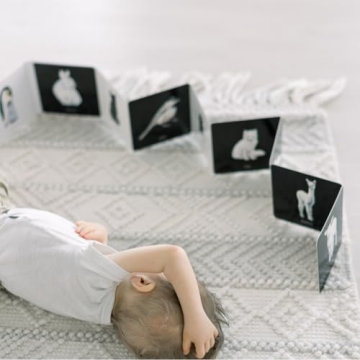 Baby's Black and White Contrast Book for Tummy Time