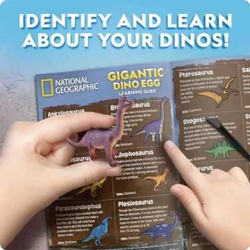 Blue Marble Jumbo Dinosaur Egg Dig Kit for Kids' Fun