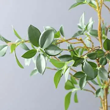 LNGODEHO Realistic Artificial Eucalyptus Green Branches