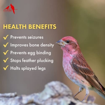 Morning Bird Calcium Plus Powder for Optimal Bird Health