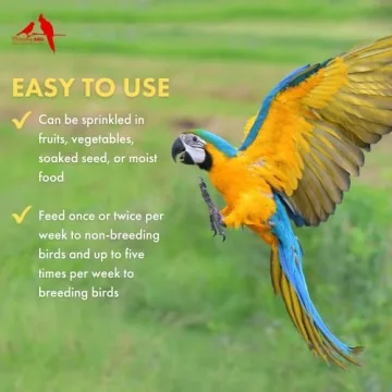 Morning Bird Calcium Plus Powder for Optimal Bird Health