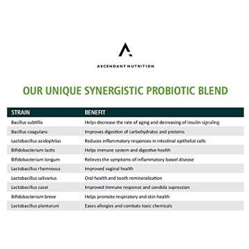 Ascendant Nutrition Bacillus Subtilis Probiotic - 30 Billion CFU Multi-Strain Probiotics for Women and Men - Supports Digestive and Immune Health - 30 Capsules