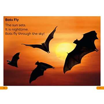 DK Super Readers Level 1 All About Bats