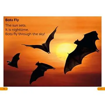 DK Super Readers Level 1 All About Bats