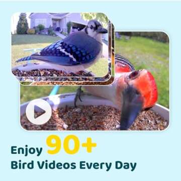 NETVUE by Birdfy AI Smart Bird Feeder with Camera, AI Auto Capture Each Bird Come & Identify 6000+ Bird Species, Cloud Store Bird Videos & Birdwatching On Live, Ideal Gift for Bird Lover (Blue)