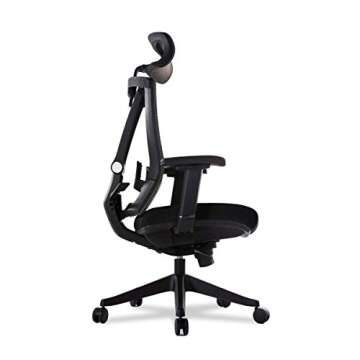 Autonomous Premium Ergonomic Office Chair for Comfort
