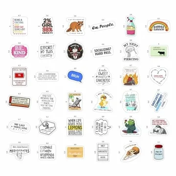 100Pcs Sarcastic Stickers for Adults Funny Snarky Decals
