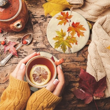 Stylish 4Pcs Fall Ceramic Coasters for Home and Gifts