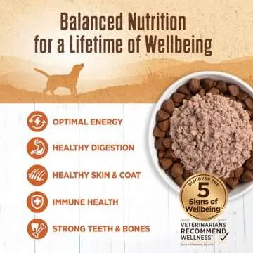 Wellness 95% Turkey Grain-Free Wet Dog Food 12 Cans