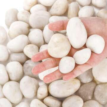 Nicunom 6lbs Natural Decorative White Pebbles, 1/2-1 1/4 Inch Polished River Rocks Stones for Fish T...